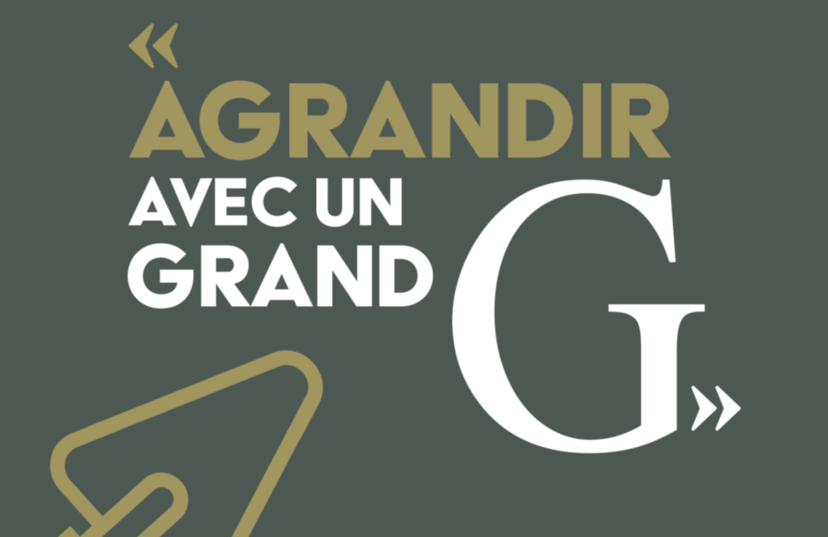 Gaume : un nouveau concept créatif qui prend vie au travers de 3 affiches